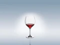 Kieliszek do Burgundy Maxima